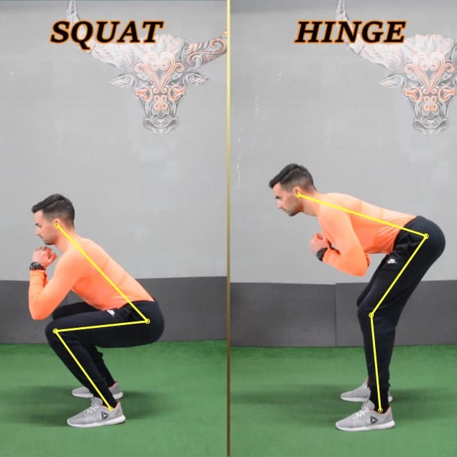 FOTO SQUAT HINGE linee